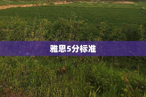 雅思5分标准