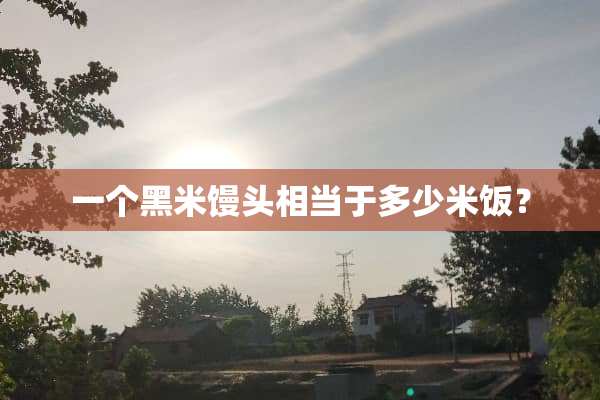 一个黑米馒头相当于多少米饭？