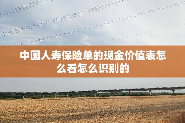 中国人寿保险单的现金价值表怎么看怎么识别的