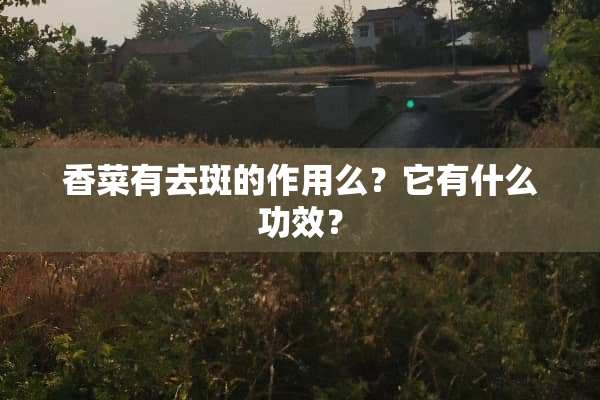 香菜有去斑的作用么？它有什么功效？