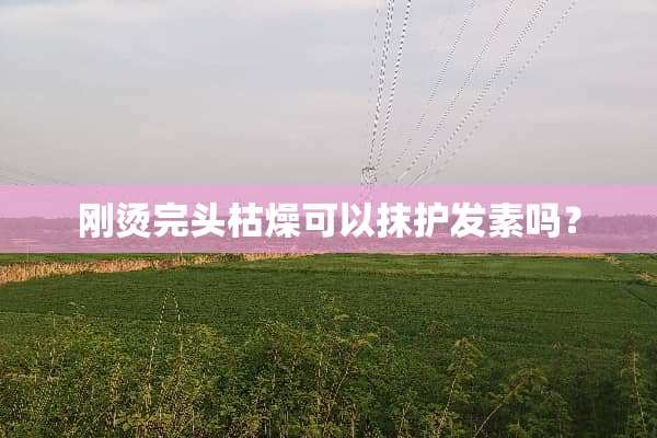 刚烫完头枯燥可以抹护发素吗？