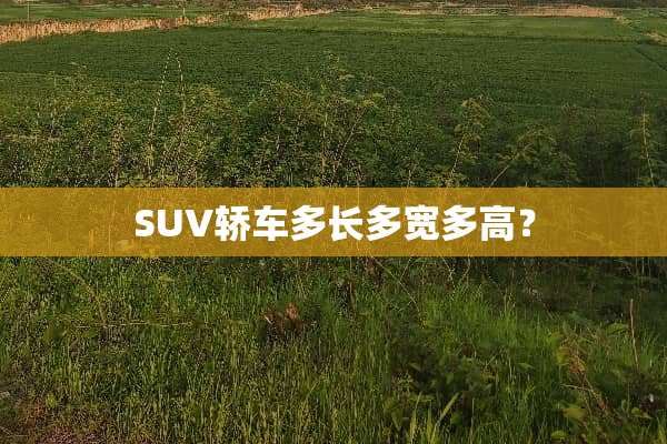 SUV轿车多长多宽多高？