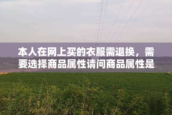 本人在网上买的衣服需退换，需要选择商品属性请问商品属性是什么意思？