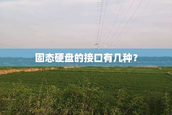 固态硬盘的接口有几种？