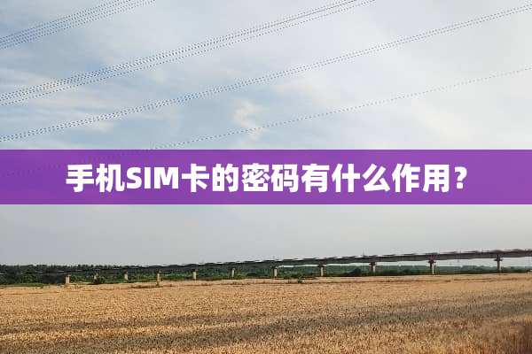 手机SIM卡的密码有什么作用？