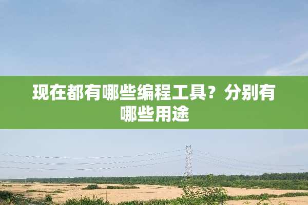 现在都有哪些编程工具？分别有哪些用途