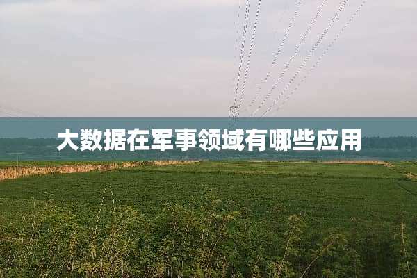 大数据在军事领域有哪些应用