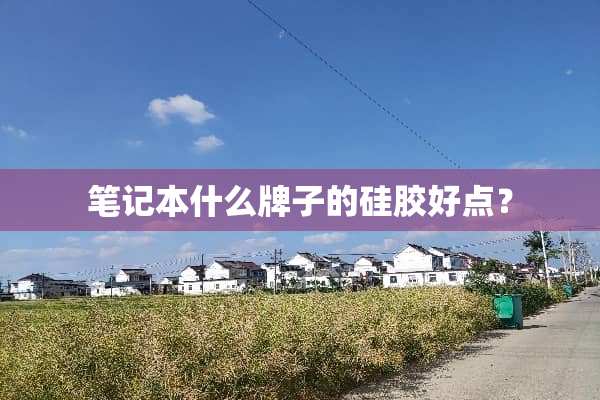 笔记本什么牌子的硅胶好点？