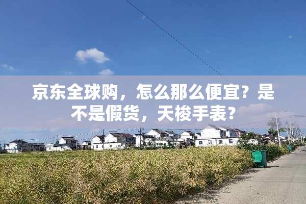 京东全球购，怎么那么便宜？是不是假货，天梭手表？