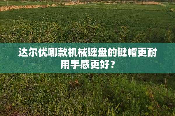 达尔优哪款机械键盘的键帽更耐用手感更好？
