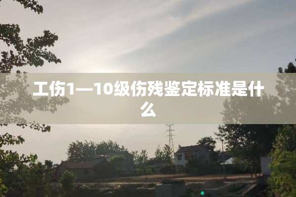 工伤1—10级伤残鉴定标准是什么