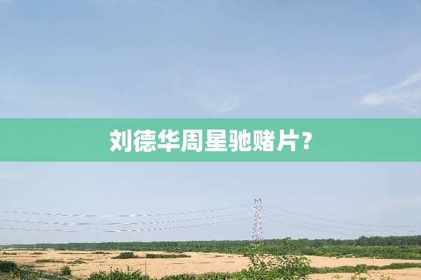 ***周星驰赌片？