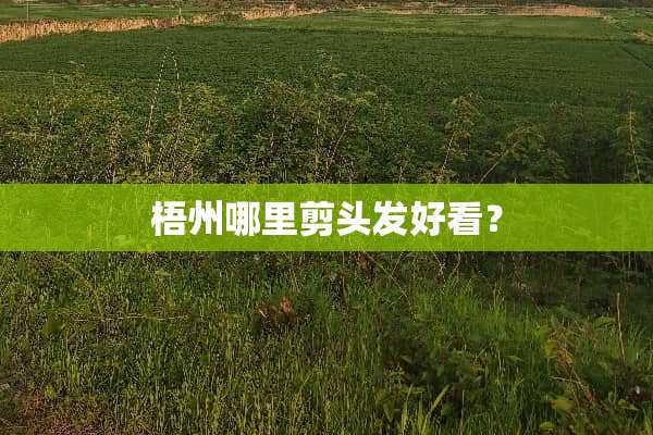 梧州哪里剪头发好看？