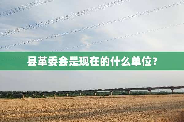 县革委会是现在的什么单位？