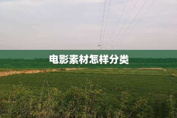 电影素材怎样分类