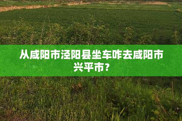 从咸阳市泾阳县坐车咋去咸阳市兴平市？