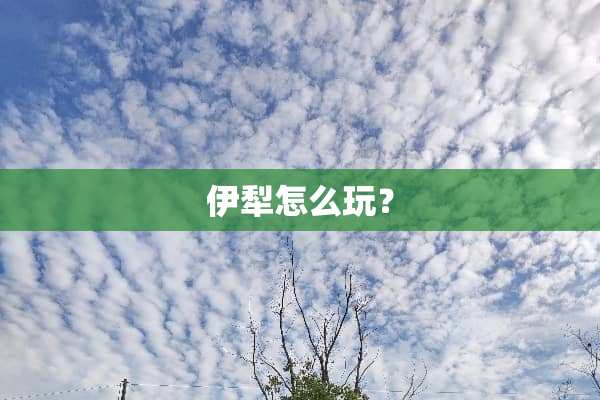 伊犁怎么玩？