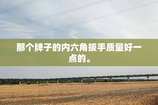 那个牌子的内六角扳手质量好一点的。