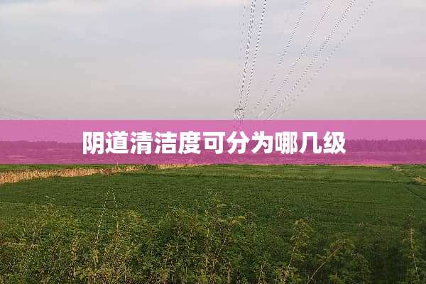 *道清洁度可分为哪几级