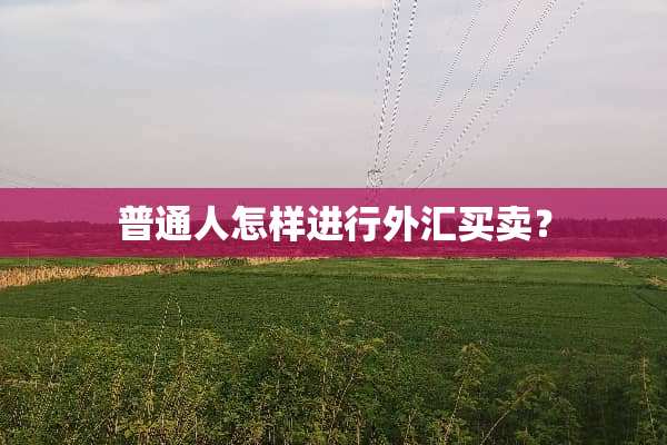 普通人怎样进行外汇买卖？