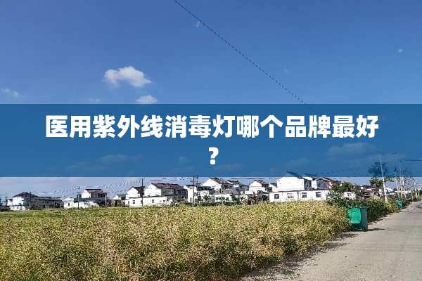 医用紫外线消毒灯哪个品牌最好？
