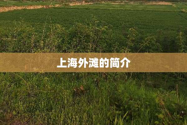 上海外滩的简介