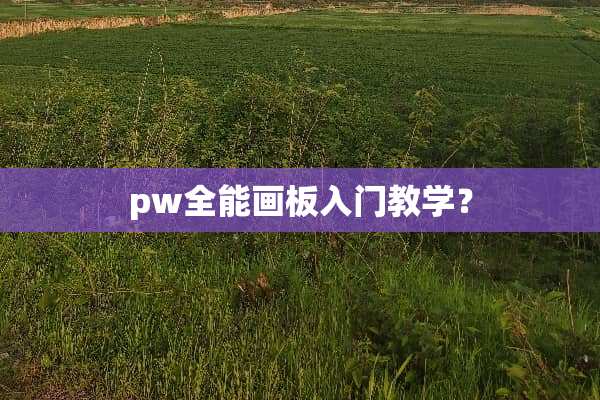 pw全能画板入门教学？
