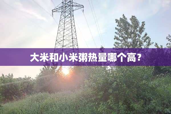 大米和小米粥热量哪个高？