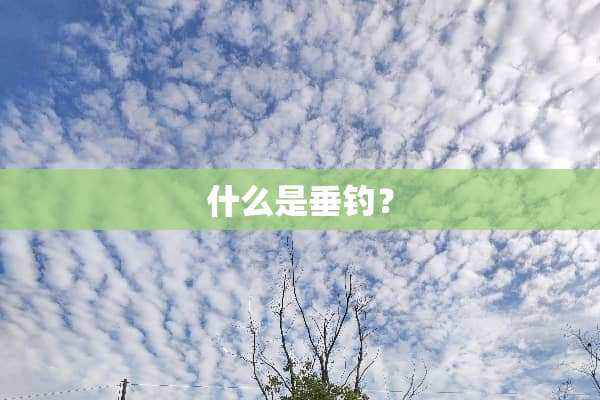 什么是垂钓？