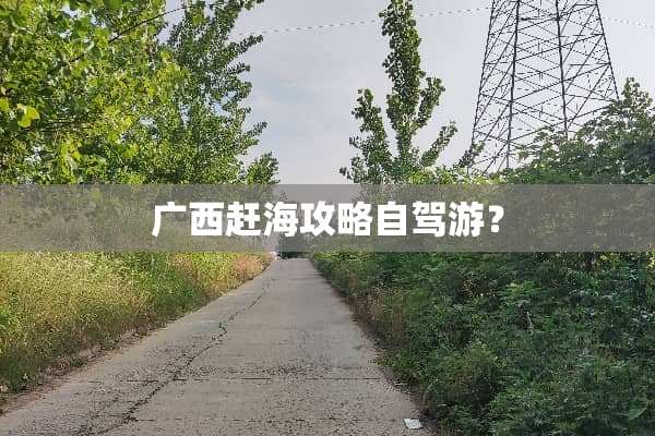 广西赶海攻略自驾游？