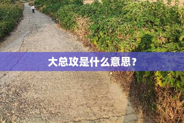 大总攻是什么意思？