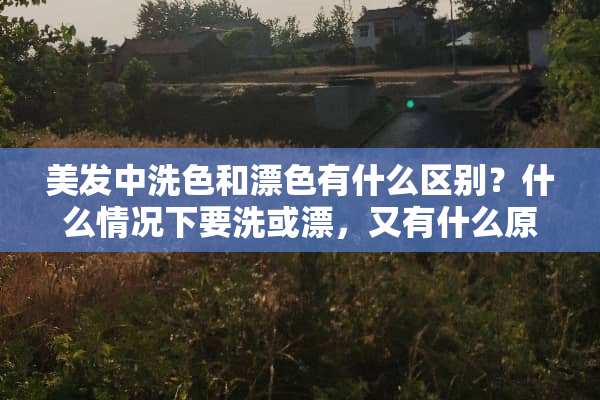美发中洗色和漂色有什么区别？什么情况下要洗或漂，又有什么原则？
