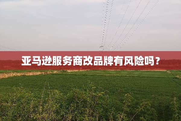 亚马逊服务商改品牌有风险吗？