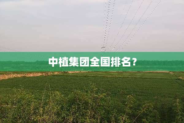 中植集团全国排名？