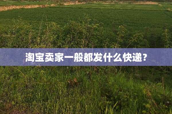 淘宝卖家一般都发什么快递？