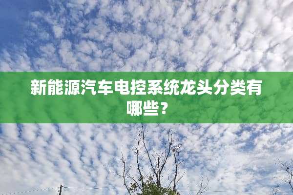 新能源汽车电控系统龙头分类有哪些？