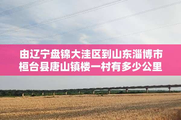由辽宁盘锦大洼区到山东淄博市桓台县唐山镇楼一村有多少公里？