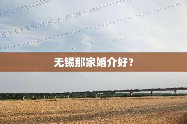 无锡那家婚介好？
