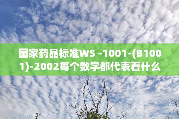国家药品标准WS -1001-(B1001)-2002每个数字都代表着什么？