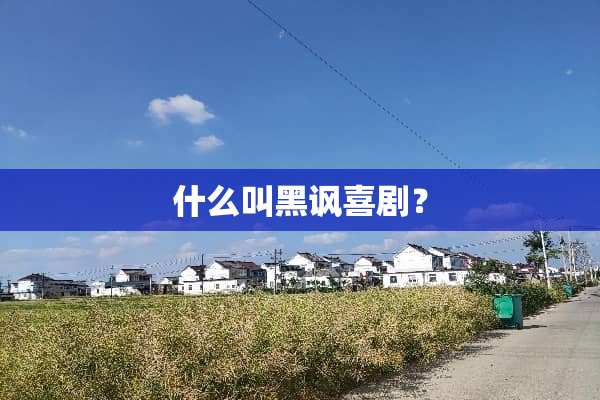 什么叫黑讽喜剧？