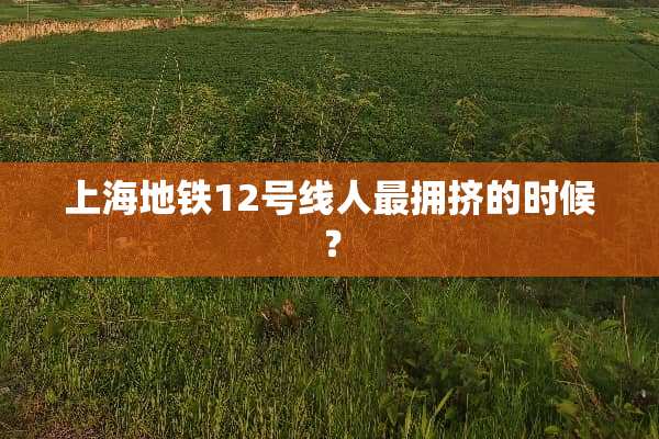 上海地铁12号线人最拥挤的时候？