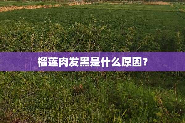 榴莲肉发黑是什么原因？