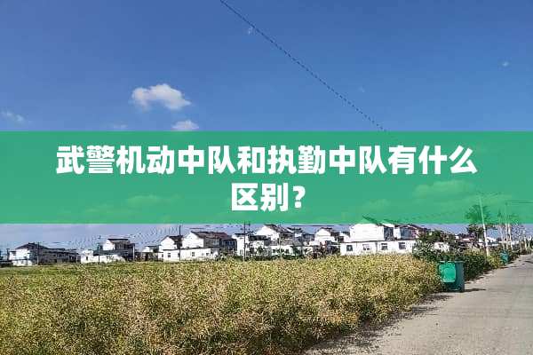 **机动中队和执勤中队有什么区别？