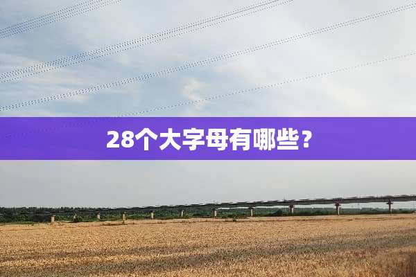 28个大字母有哪些？