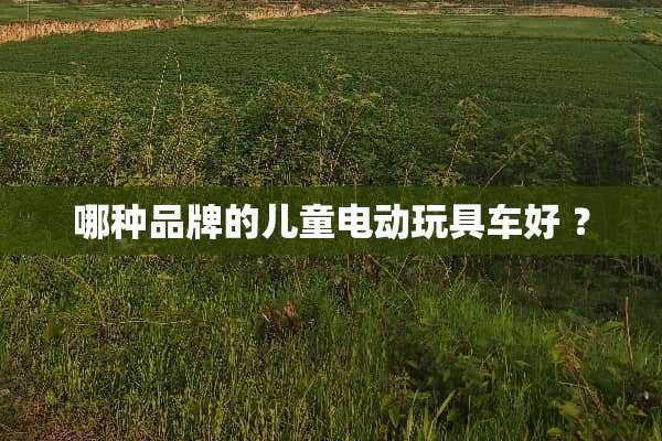 哪种品牌的儿童电动玩具车好 ？