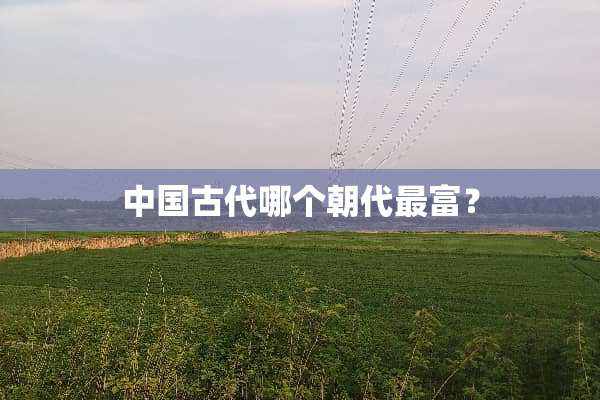 中国古代哪个朝代最富？