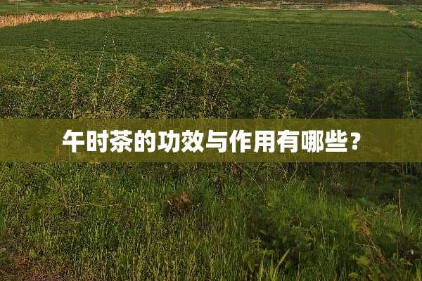午时茶的功效与作用有哪些？