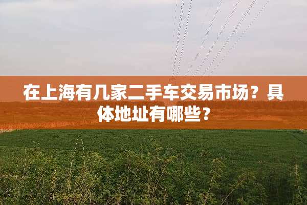 在上海有几家二手车交易市场？具体地址有哪些？
