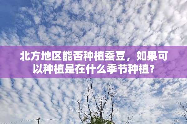 北方地区能否种植蚕豆，如果可以种植是在什么季节种植？