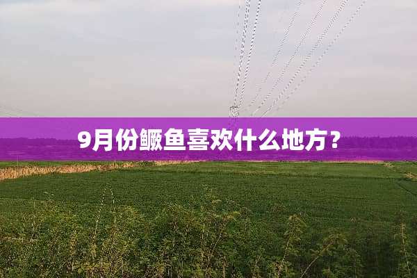9月份鳜鱼喜欢什么地方？